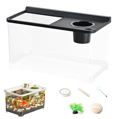 MWZBTG Kleines Kampfbecken Mit 3 Farblichtern - Hochtransparenter Tank,360° Aquarium mit hoher Transparenz für Tisch Arbeitsplatz Schlafzimmer Zuhause Wohnzimmer Eingangsbereich Landschaftsgestaltung MWZBTG Kleines Kampfbecken Mit 3 Farblichtern - Hochtransparenter Tank,360° Aquarium mit hoher Transparenz für Tisch Arbeitsplatz Schlafzimmer Zuhause Wohnzimmer Eingangsbereich Landschaftsgestaltung von MWZBTG