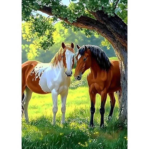 MXJSUA Zwei Pferde Diamond Painting Erwachsene, 5D Diamant Painting Bilder Anfänger, DIY Runder Vollbohrer Diamanten Malerei Stickerei Kreuzstich Geschenke Home Wand Dekor 30x40cm von MXJSUA