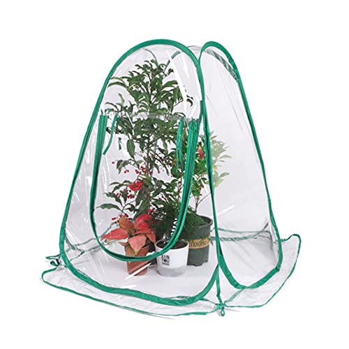 Gartengewächshaus Mini-Pop-Up-Gewächshaus mit klarem Cover-geschützter Pflanze wachsen Haus Tragbare Blumenzelt-Schutzhütte for Garten-Outdoor-Hinterhof von MXMZSRTH