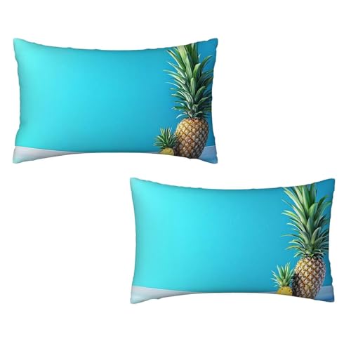 Kissenbezug 30x50 Blau 2er Set Samt Kissenbezug Ananas Sofakissen Weiche Kissenhülle Quadratische Dekokissen Zierkissenbezug mit Unsichtbarem ReißVerschluss für Sofa Couch Wohnzimmer Schlafzimmer F-92 von MXRUOO