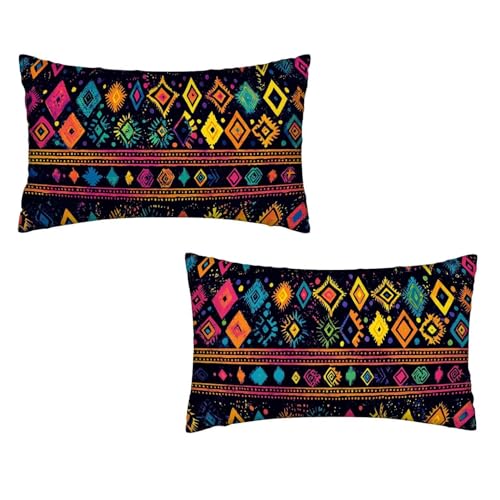 Kissenbezug 60x120 Bunt 2er Set Samt Kissenbezug Nordisch Sofakissen Weiche Kissenhülle Quadratische Dekokissen Zierkissenbezug mit Unsichtbarem ReißVerschluss für Sofa Wohnzimmer Schlafzimmer L-20 von MXRUOO