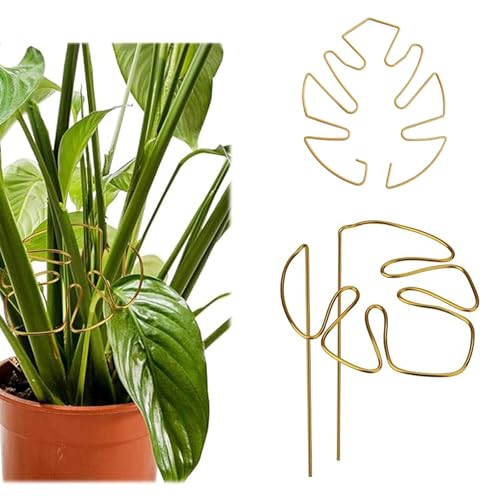 2 Stück Pflanzenstütze, Set mit Goldener Großer Variante und Kleiner Variante für Zimmerpflanzen Perfekte Rankhilfe für Monstera und Alocasia für gesunde Pflanzenentwicklung von MXYZQDE