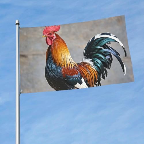 Flagge, 150 cm x 90 cm, doppelseitig, für den Außenbereich, strapazierfähig, Banner mit 2 Ösen, Dekoration, Hofflaggen, Hahn-Flagge, Polyester, Willkommensflaggen für Urlaub, Hof, alle Jahreszeiten Flagge, 150 cm x 90 cm, doppelseitig, für den Außenbereich, strapazierfähig, Banner mit 2 Ösen, Dekoration, Hofflaggen, Hahn-Flagge, Polyester, Willkommensflaggen für Urlaub, Hof, alle Jahreszeiten von MXZERFKGLA