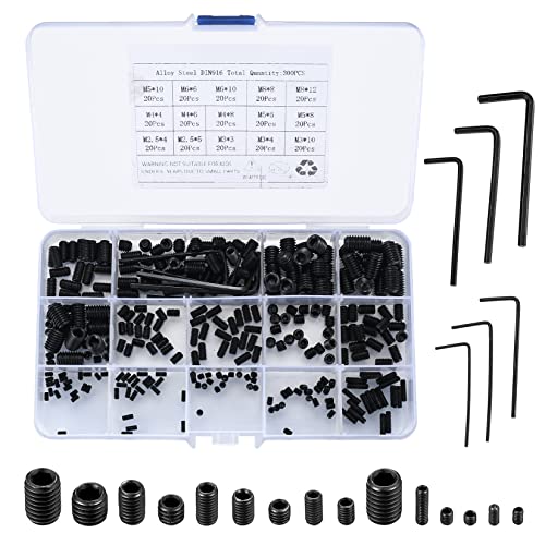 300 Stück Madenschrauben Set, Gewindestifte Inbusschraube Sortiment Kit, M2.5 M3 M4 M5 M6 M8 Sechskantkopf Schrauben mit Inbusschlüsseln für Türgriff, Türklinke, Halterung (Schwarz) von MYHongLe