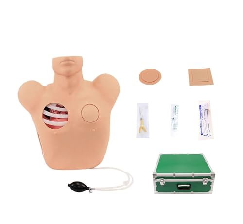 Patient Care Simulator, Thoracentesis and Drainage Model, Thoracentesis Training Manikin, PVC Anatomical Model, Pneumothorax and Liquid Chest Closed Drainage Operation Training Teaching Model von MYRTFK