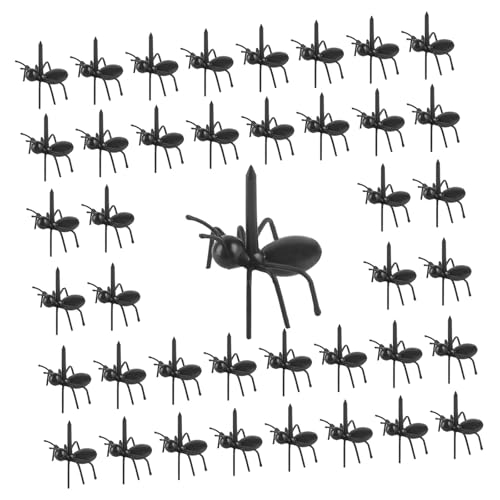 48 Stück Food Picks, Ant Obst Gabel Set Wiederverwendbare Ameisenfutter Food Picks Mini Dessertgabel, Snack Kuchen Dessert Küche Gabeln Essen Pick von MYSUNBAR