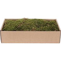 Getrocknetes Flachmoos 500 g Grün - Braun Getrocknetes Flachmoos 500 g Grün - Braun von MYVILLAGE