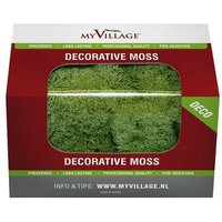 Moosgrüne Flechte 50 gr Moosgrüne Flechte 50 gr von MYVILLAGE