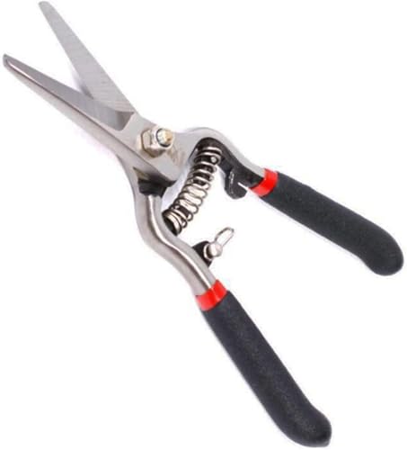 Gartenschere, 8 Zoll große Floristenschere, passend for Kräuter, Traubenschneider, mit gebogener Feder, Sicherheitsverschluss, Gartenschere, Mehrzweck-Gartenschere Gartenschere, 8 Zoll große Floristenschere, passend for Kräuter, Traubenschneider, mit gebogener Feder, Sicherheitsverschluss, Gartenschere, Mehrzweck-Gartenschere von MYXJX