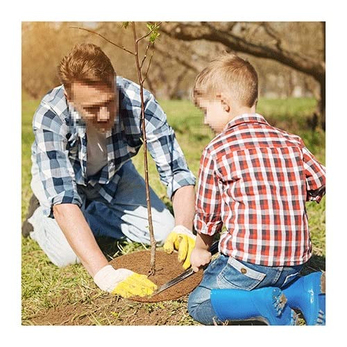MYXJX Mulchring, 12 Stück 11,8 Zoll Kokosfaser-Baummulchring-Schutzmatte - Kokosfaser-Mulchmatte for Scheibenpflanzenabdeckungen und Blumentöpfe von MYXJX