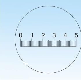 Objektträger, Durchmesser 19 mm Mikroskopobjektträger Fadenkreuz Kalibrierungsschieber Lineal Mikroskop-Kalibrierungslineal Tischmikrometer(C3) von MYXJX
