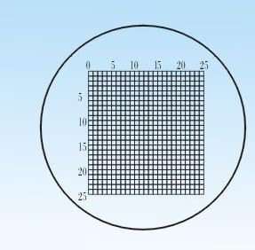 Objektträger, Durchmesser 19 mm Mikroskopobjektträger Fadenkreuz Kalibrierungsschieber Lineal Mikroskop-Kalibrierungslineal Tischmikrometer(C6) von MYXJX