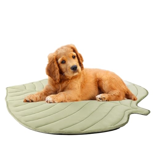 MYYMKJYXGS Blattförmige Haustier-Kühlmatte – Sommerunterlage for Katzen und Hunde, leichte, rutschfeste, waschbare Haustiermatte, süßes Design for den Innen- und Außenbereich(Green,M) von MYYMKJYXGS