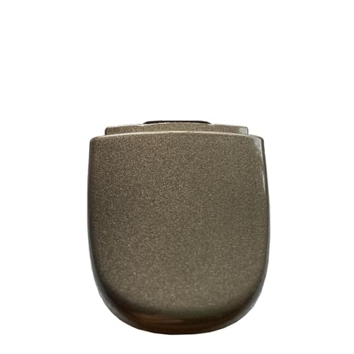 Für VW Für Tiguan 1 MK1 5N Für Jetta 6 A6 Für Käfer 2011–2017 Fahrerseite Außentürgriff Schloss-Abdeckkappe Nur NO-KESSY 5N1837879B(Triumph Gloden) von MZEER