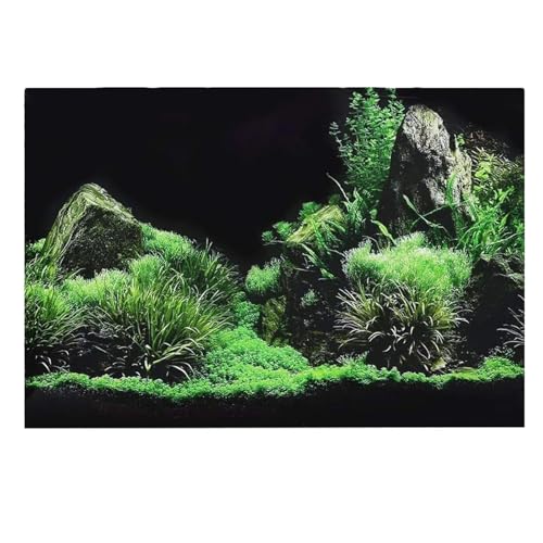 MZPOZB Juwel Rückwand Aquarium Hintergrund Poster 3D PVC Kleber Aufkleber Aquarium Unterwasser Welt Hintergrund 3D Ozean Meer Pflanzen Hintergrund Aufkleber(B,41x122cm) von MZPOZB