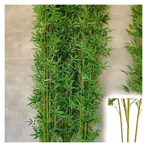 MZZKFC künstlicher Bambus Extra Hohe Künstliche Bambusstange Mit Realistischen Blättern, Künstlicher Bambusbaum Für Den Innenhof, Eingang Oder Garten, 1,2 1,5 1,8 2 2,5m(30 Poles,4 9/10 ft(150cm)) MZZKFC künstlicher Bambus Extra Hohe Künstliche Bambusstange Mit Realistischen Blättern, Künstlicher Bambusbaum Für Den Innenhof, Eingang Oder Garten, 1,2 1,5 1,8 2 2,5m(30 Poles,4 9/10 ft(150cm)) von MZZKFC