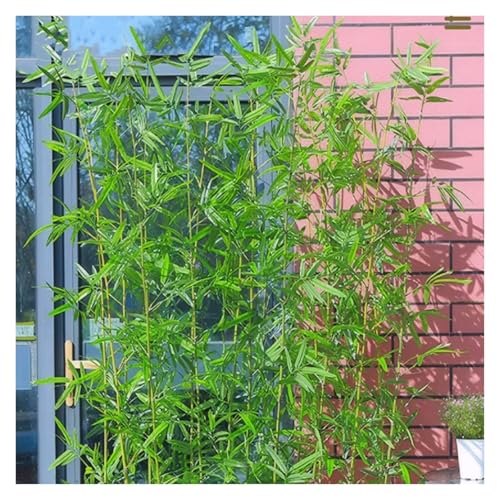 MZZKFC künstlicher Bambus Spleißsimulation Bambuspflanze 250cm, Allwetter-Kunstbambusbaum Wasserdicht UV-beständig, Kunsttopfpflanze Einfach Zu Montieren Demontieren(90 Bamboos,2.1m/82.7 in) von MZZKFC