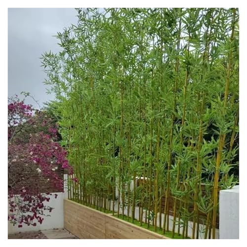 künstlicher bambus Künstlicher BambusTrennwand Sichtschutzzaun, Außenbereich Bambus Pflanze Künstlich Shop Dekoration Für Innenhof Eingang Terrasse Ornamental, 100 150 180 200 CM Hoch Bambusgras(2m,20 künstlicher bambus Künstlicher BambusTrennwand Sichtschutzzaun, Außenbereich Bambus Pflanze Künstlich Shop Dekoration Für Innenhof Eingang Terrasse Ornamental, 100 150 180 200 CM Hoch Bambusgras(2m,20 von MZZKFC