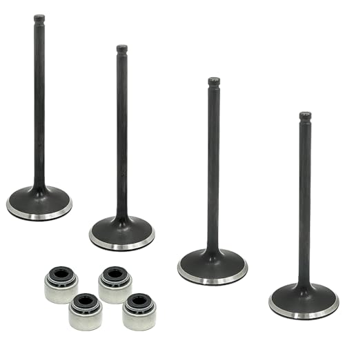 Mabutingti Einlass und Auslassventil Set mit Ventilschaftdichtungen Passend für Polaris Predator 500 Outlaw 500 2003-2007 3087981 3087982 Mabutingti Einlass und Auslassventil Set mit Ventilschaftdichtungen Passend für Polaris Predator 500 Outlaw 500 2003-2007 3087981 3087982 von Mabutingti