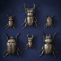 Set Mit 6 Gold-Wandkäfern, Wanddekoration, Wandornamente von MacBainInteriors