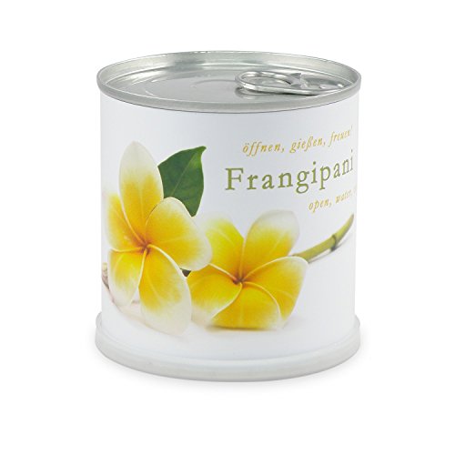 MacFlowers® Frangipani | Anzuchtset als besonderes Geschenk | Öffnen Gießen Freuen | Dankeschön Yoga Tempelbaum Yogabaum yellow von MacFlowers