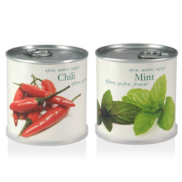 Blumen in der Dose Geschenk Set - Chili - Minze von Macflowers von MacFlowers