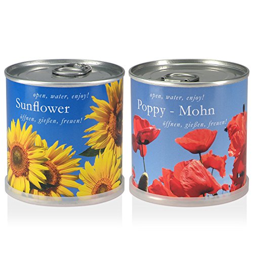 MacFlowers | Kleines Anzuchtset mit Sonnenblumen und Mohnblumen | Design Blau Geld und Rot | Geschenk Set mit Zwei Sorten Samen in süßen instant Blumendosen von MacFlowers