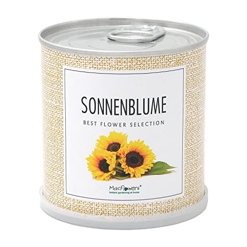 MacFlowers® | Kleines Anzuchtset mit Sonnenblumen | Henri Wild | Nachhaltiges Geschenkset mit Einer Sorte Samen in süßer instant Blumendose von MacFlowers