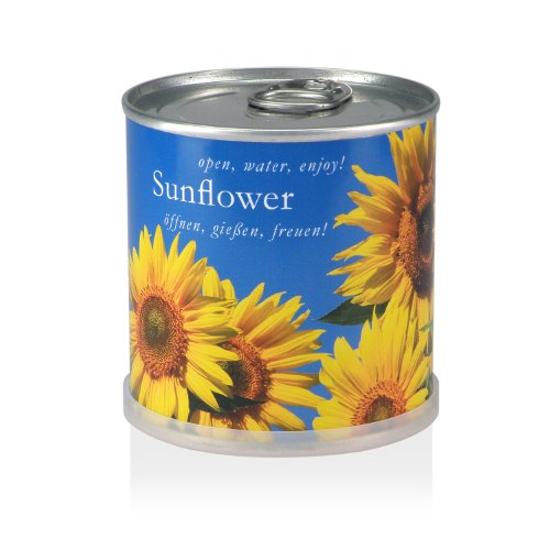 MacFlowers | Kleines Anzuchtset mit Sonnenblumen | Design Blau Gelb | Geschenkset mit Einer Sorte Samen in süßer instant Blumendose von MacFlowers