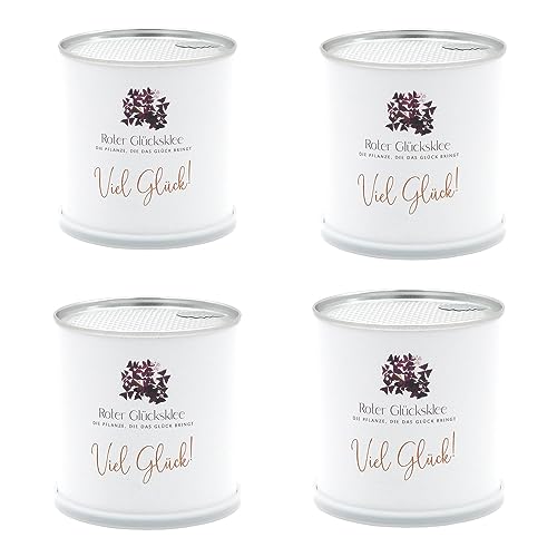 MacFlowers® | 4 Stück | Blumendosen Lila Klee Anzucht-Set | Viel Glück | Nachhaltiges Geschenk in süßen instant gardening Blumendosen als Set von MacFlowers