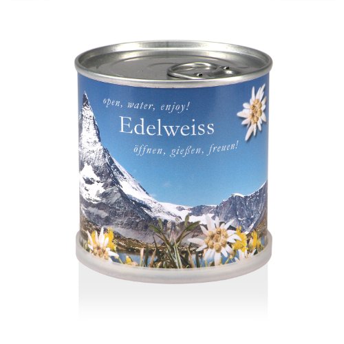 MacFlowers® | Anzuchtset mit Edelweiß | Design Alpen | Geschenk Set mit Einer Sorte Samen in süßer instant Blumendose von MacFlowers