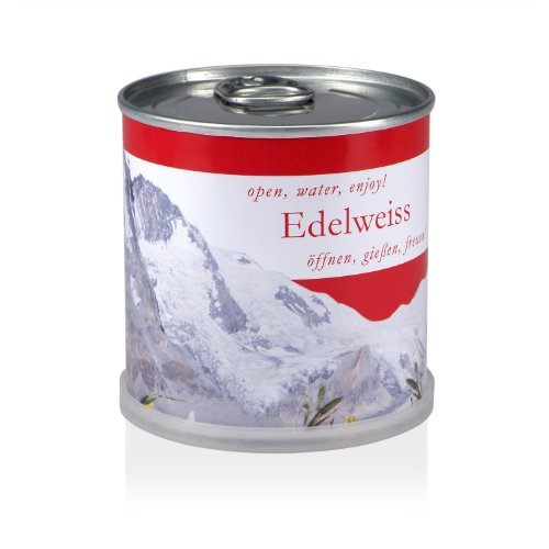 MacFlowers® | Anzuchtset mit Edelweiß | Design Österreich | Geschenk Set mit Einer Sorte Samen in süßer instant Blumendose von MacFlowers