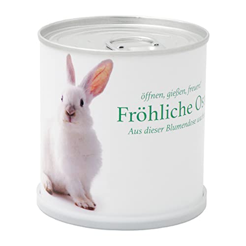 MacFlowers® | Anzuchtset mit Sonnenblumen | Ostergrüße Osterhase Ostern | Geschenkset mit Einer Sorte Samen in süßer instant Gardening Blumendose von MacFlowers