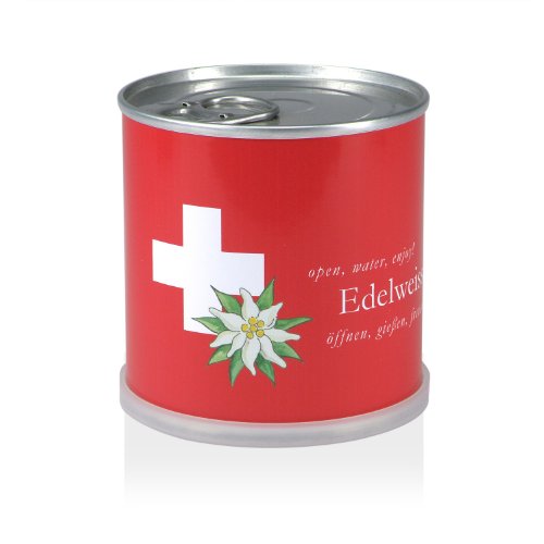 MacFlowers® | Kleines Anzuchtset mit Edelweiß | Design Schweiz | Geschenk Set mit Einer Sorte Samen in süßer instant Blumendose von MacFlowers