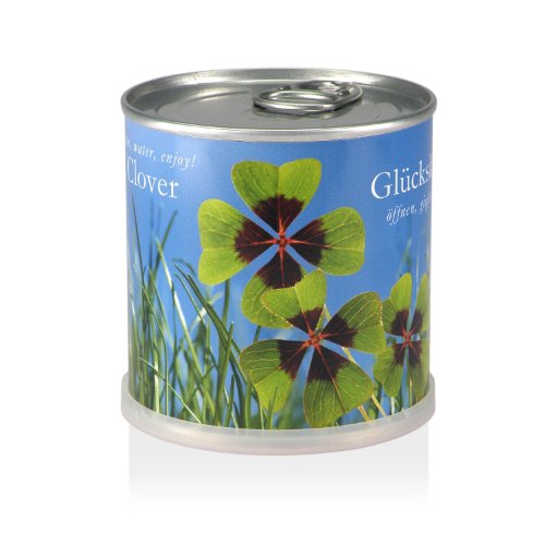 MacFlowers® | Kleines Anzuchtset mit Glücksklee | Geschenk Set mit Einer Sorte Zwiebeln in süßer instant Blumendose von MacFlowers