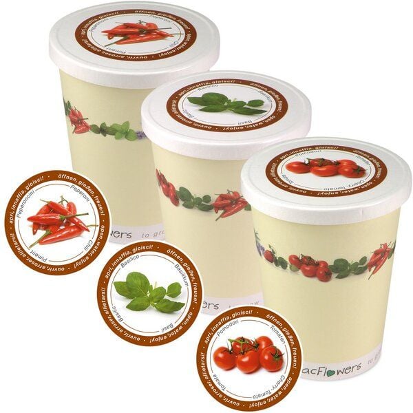 MacFlowers Blumen im Becher TO GROW Küchenpflanzen und Geschenk Set Italia MacFlowers Blumen im Becher TO GROW Küchenpflanzen und Geschenk Set Italia von MacFlowers