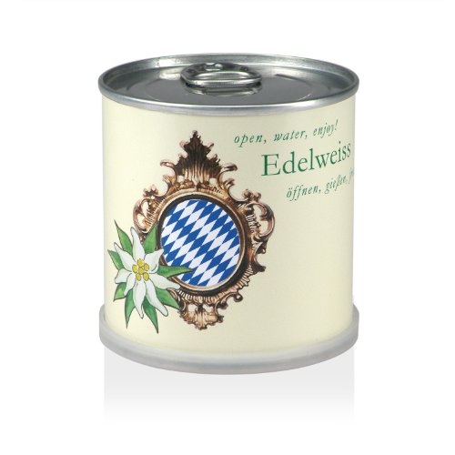 MacFlowers Blumen in der Dose - Edelweiss Bavaria von MacFlowers