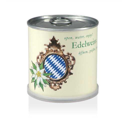 MacFlowers Blumen in der Dose - Edelweiss Bavaria MacFlowers Blumen in der Dose - Edelweiss Bavaria von MacFlowers