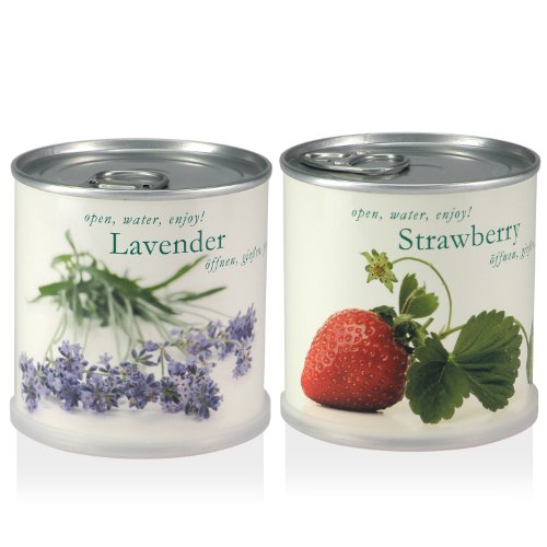 MacFlowers® | Kleines Anzuchtset mit Erdbeere und Lavendel | Nachhalötiges Geschenk-Set mit Zwei Sorten Saatgut in süßen Blumendosen von MacFlowers