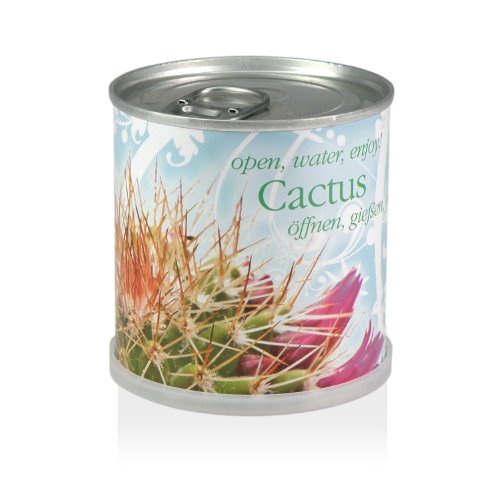 MacFlowers Extragifts Blumen in der Dose - Kaktus - Cactus von MacFlowers