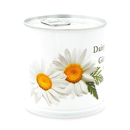 MacFlowers | Kleines Anzuchtset mit Gänseblümchen | Design White Edition | Geschenk Set mit Einer Sorte Samen in süßer instant Blumendose von MacFlowers