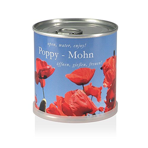 MacFlowers | Kleines Anzuchtset mit Mohnblumen | Design Blau Rot | Geschenk Set mit Einer Sorte Samen in süßer instant Blumendose von MacFlowers