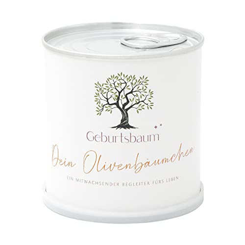 MacFlowers® Olivenbaum Anzuchtset | Ein mitwachsender Begleiter fürs Leben | Zur Geburt | Geschenk in süßer instant gardening Blumendose Taufe von MacFlowers