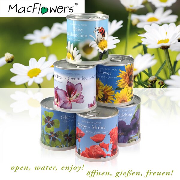 MacFlowers Pflanzen in der Dose - Erdbeere / Strawberry von MacFlowers