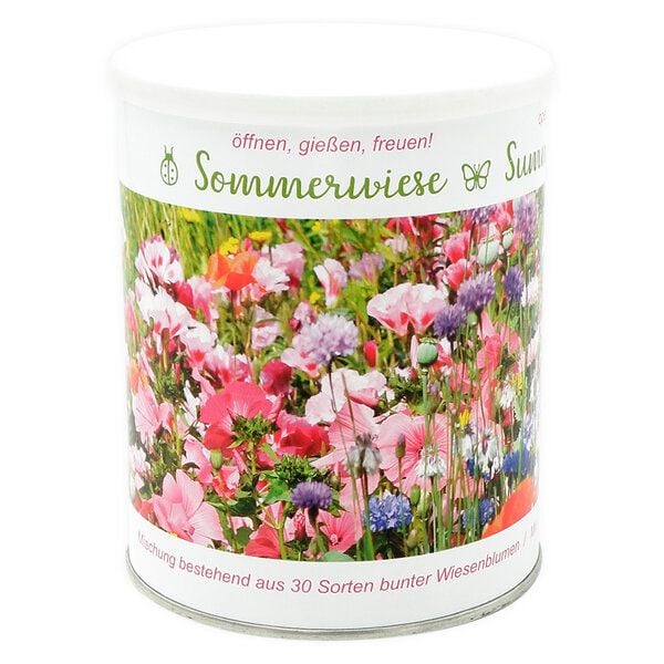 MacFlowers Wildblumenarten - diese Sommerwiese enthält 30 verschiedene Sorten von MacFlowers