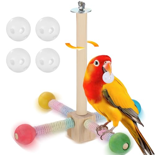 Machify Buntes drehbares Vogelsitz-Spielzeug mit 4 Glocken, Sittichständer aus Holz für kleine Haustiere, Käfigzubehör für Papageien und Wellensittiche Machify Buntes drehbares Vogelsitz-Spielzeug mit 4 Glocken, Sittichständer aus Holz für kleine Haustiere, Käfigzubehör für Papageien und Wellensittiche von Machify