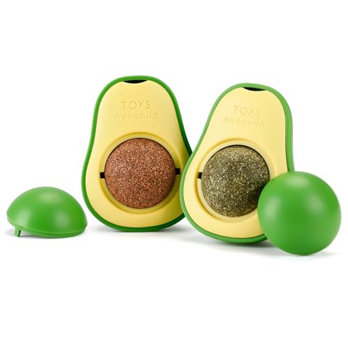 Machify Essbarer Silvervine Katzenminze-Ball: 2 Stück Kauspielzeug Kätzchen Zahnpflege Leckerlis für Katzenwand von Machify