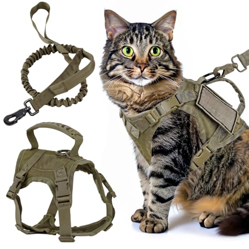Mit Kontrollgriff, weicher Netzpolsterung, grün, taktisches Katzengeschirr verstellbar, Katzengeschirr und Leine, Set mit verstellbaren Riemen von Machify