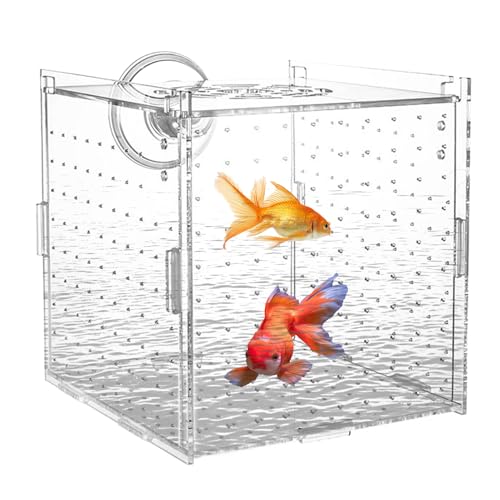 Fischzüchterbox – Saugnäpfe Zuchtbox für Aquarien – transparenter Kindergarten Trennbehälter Brutkasten für Betta Guppy Egg Angelfish Fry Acclimation von Maciun