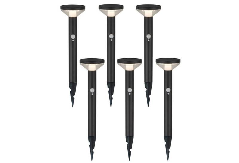 Maclean LED Solarleuchte MCE465 LED-Leuchte mit Sensor 3 Modi, Neutralweiß, Solar Gartenleuchte mit Erdspieß von Maclean